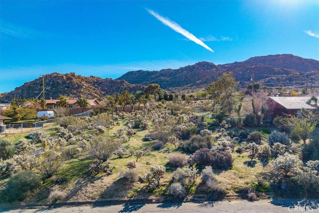 61017 Navajo Trail, Joshua Tree, CA 92252 — photo 1