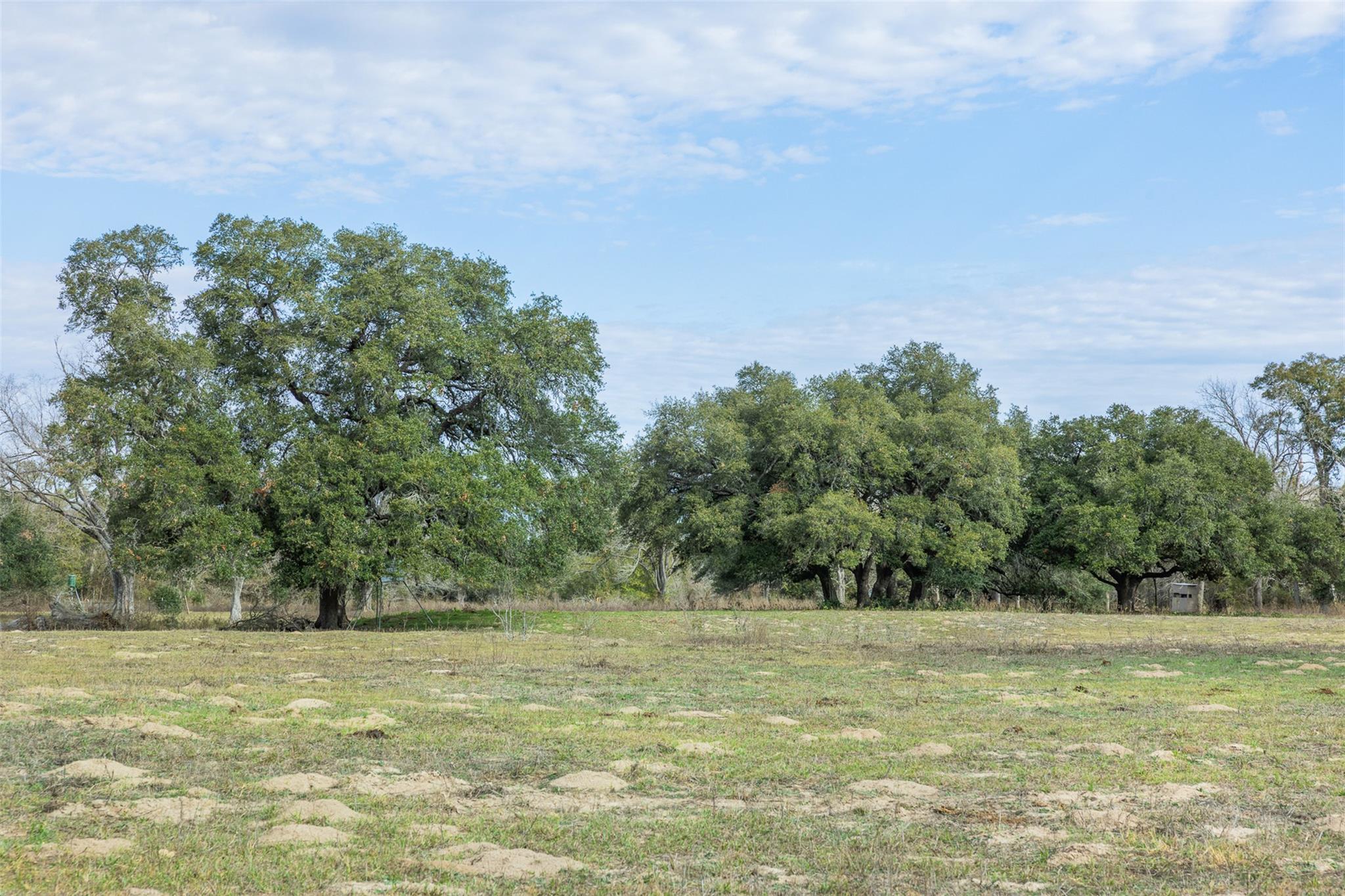 1820  South Old Smithville Rd, Flatonia, TX 78941 — photo 1