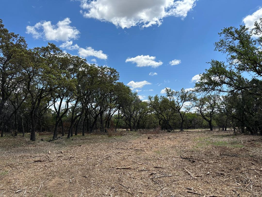 TBD County Road 529