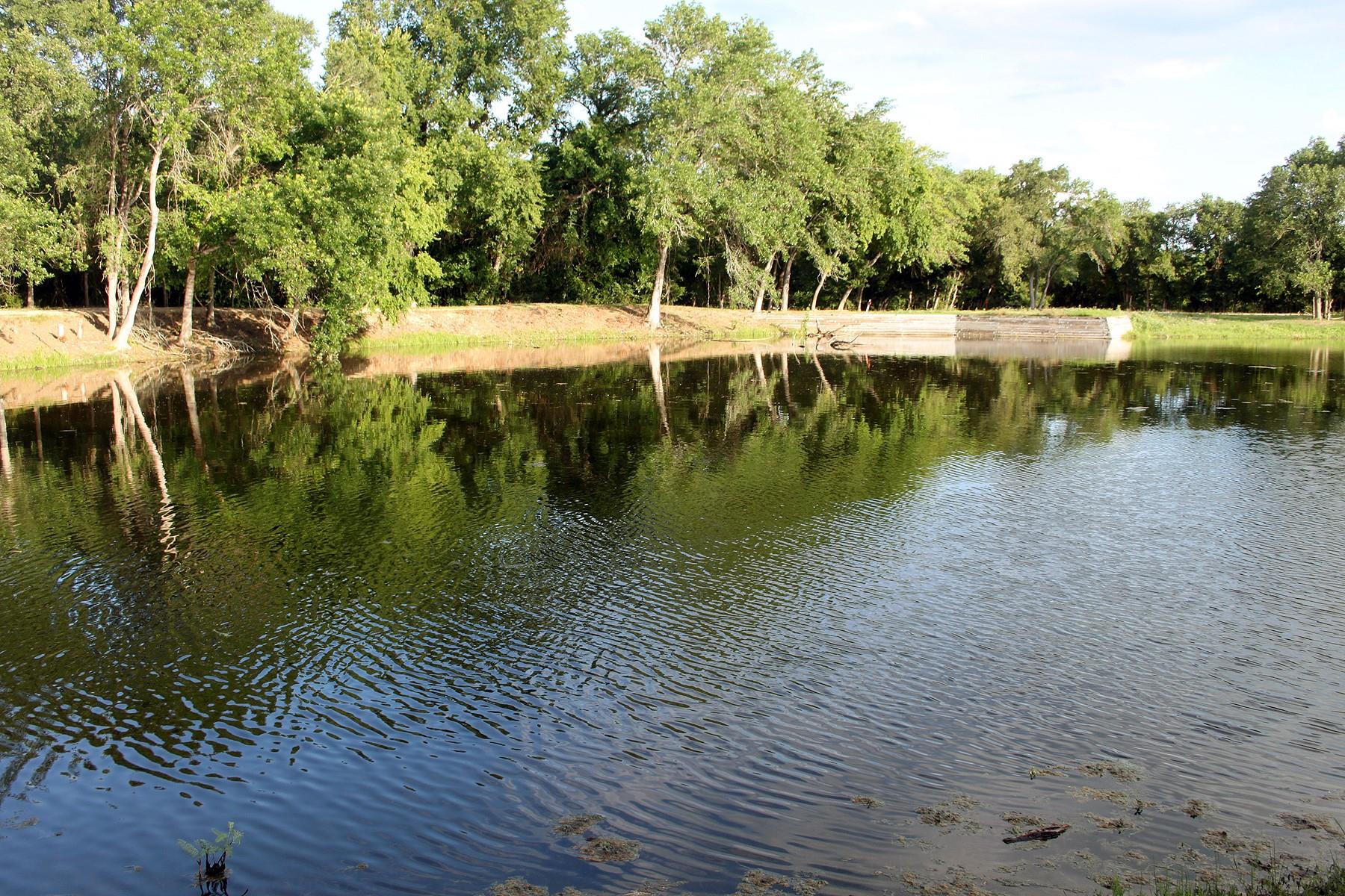 900  Old Lytton Springs Rd, Lockhart, TX 78644 — photo 1