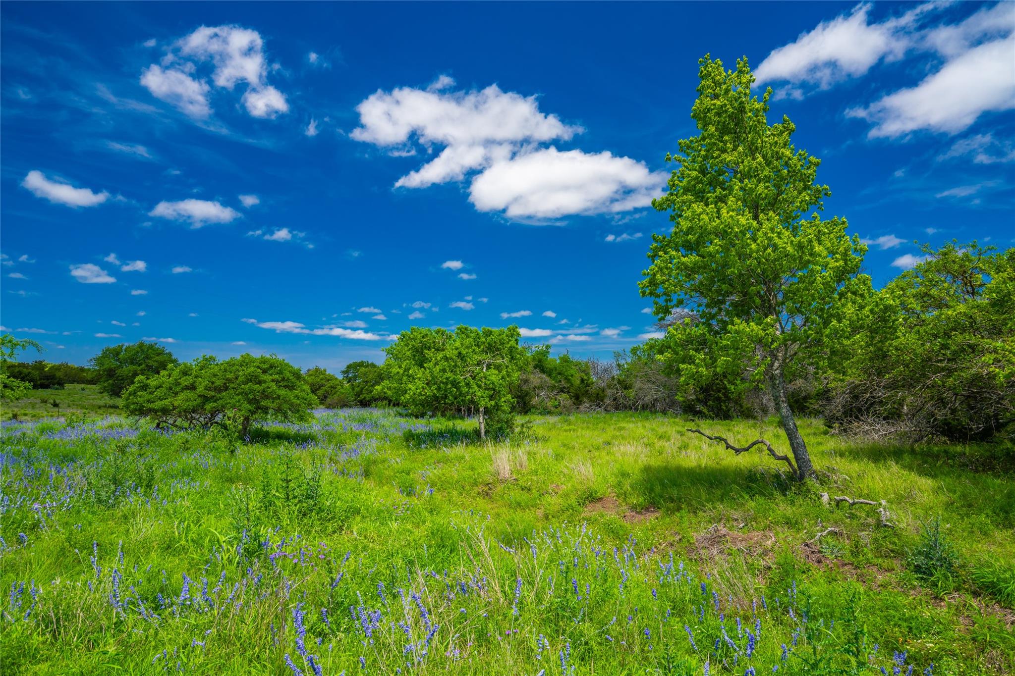 0 Jung Rd, Fredericksburg, TX 78631 — photo 1