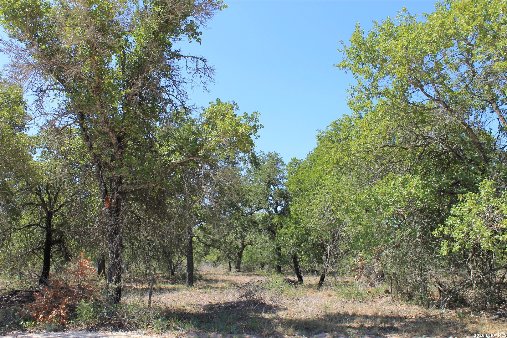 11913 W Fm 476, Somerset, TX 78069 — photo 1