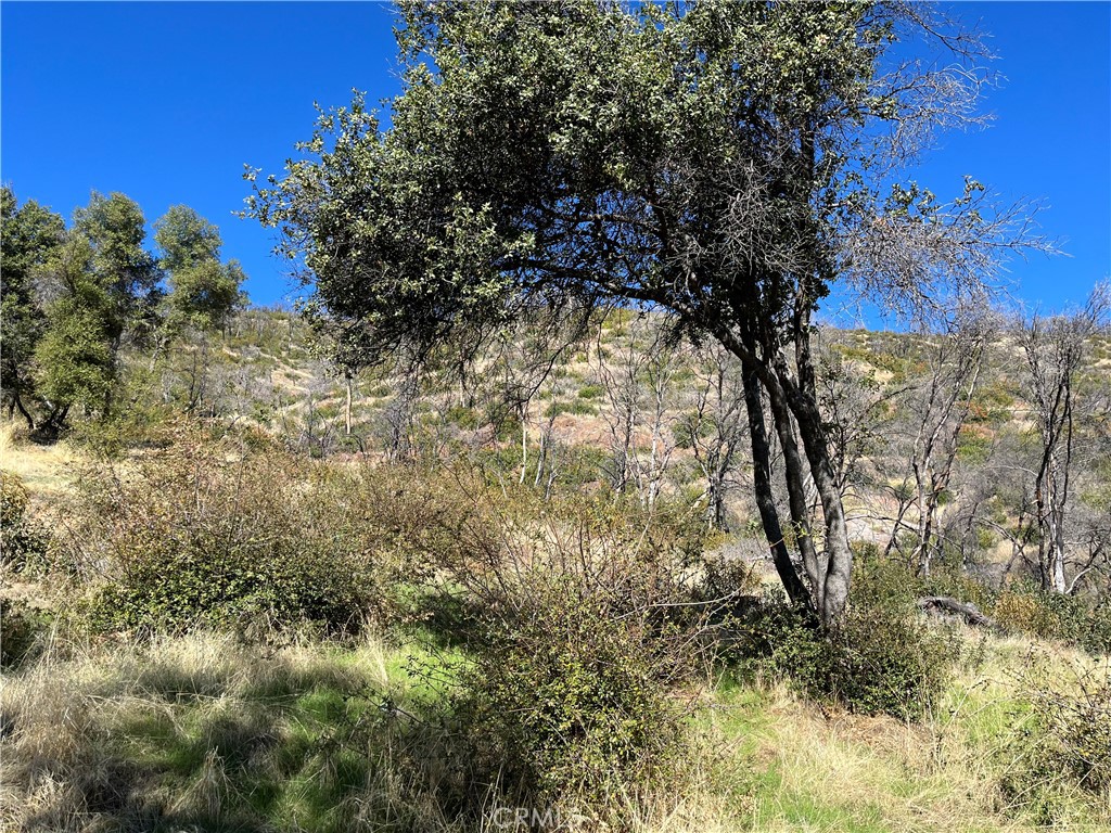 0 Triangle Road, Mariposa, CA 95338 — photo 1