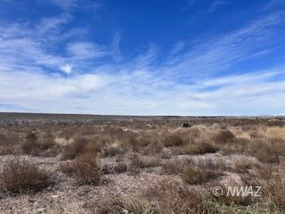 Coyote, Littlefield, AZ 86432 — photo 1