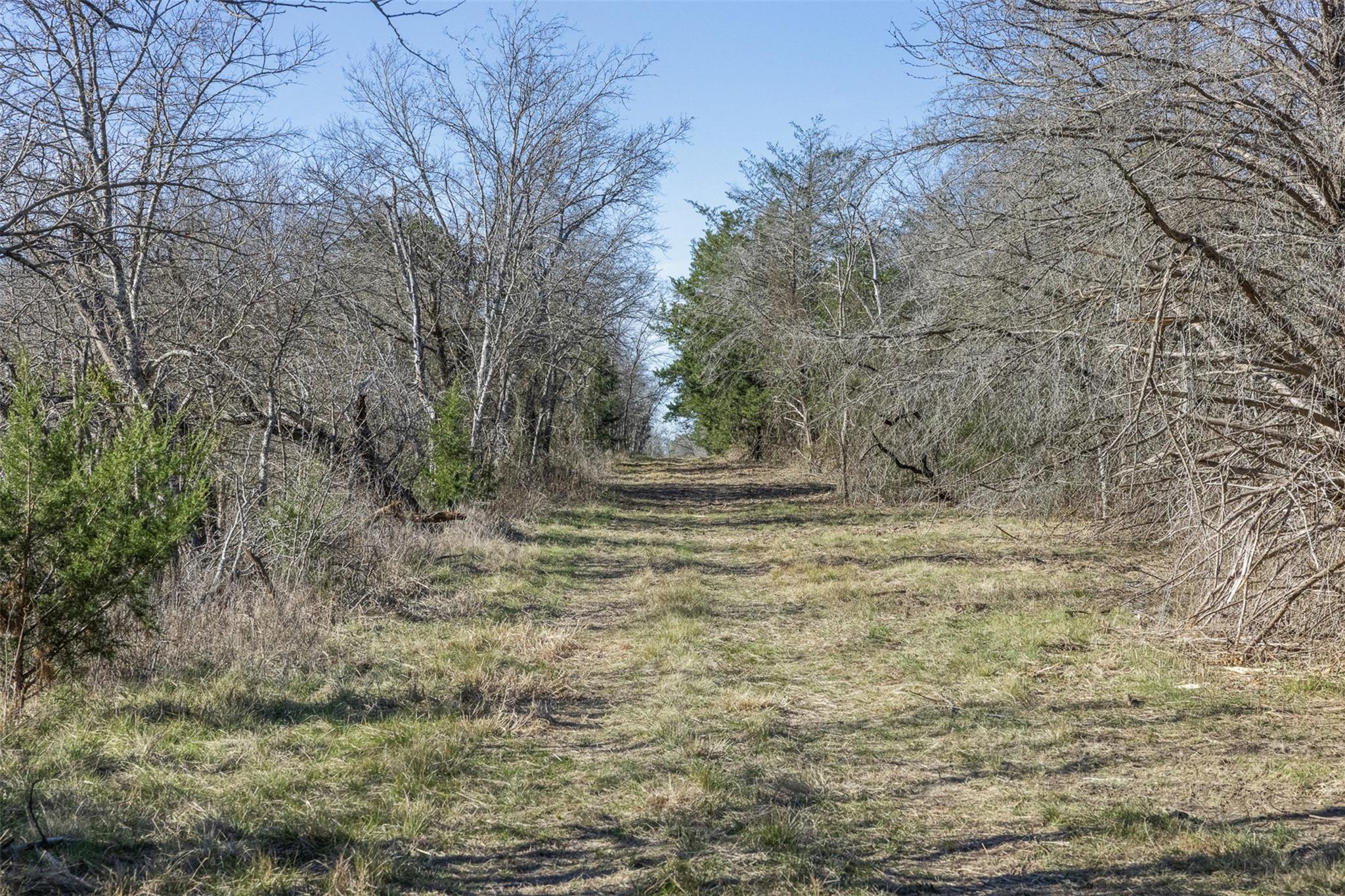 Tract 4 County Road 386