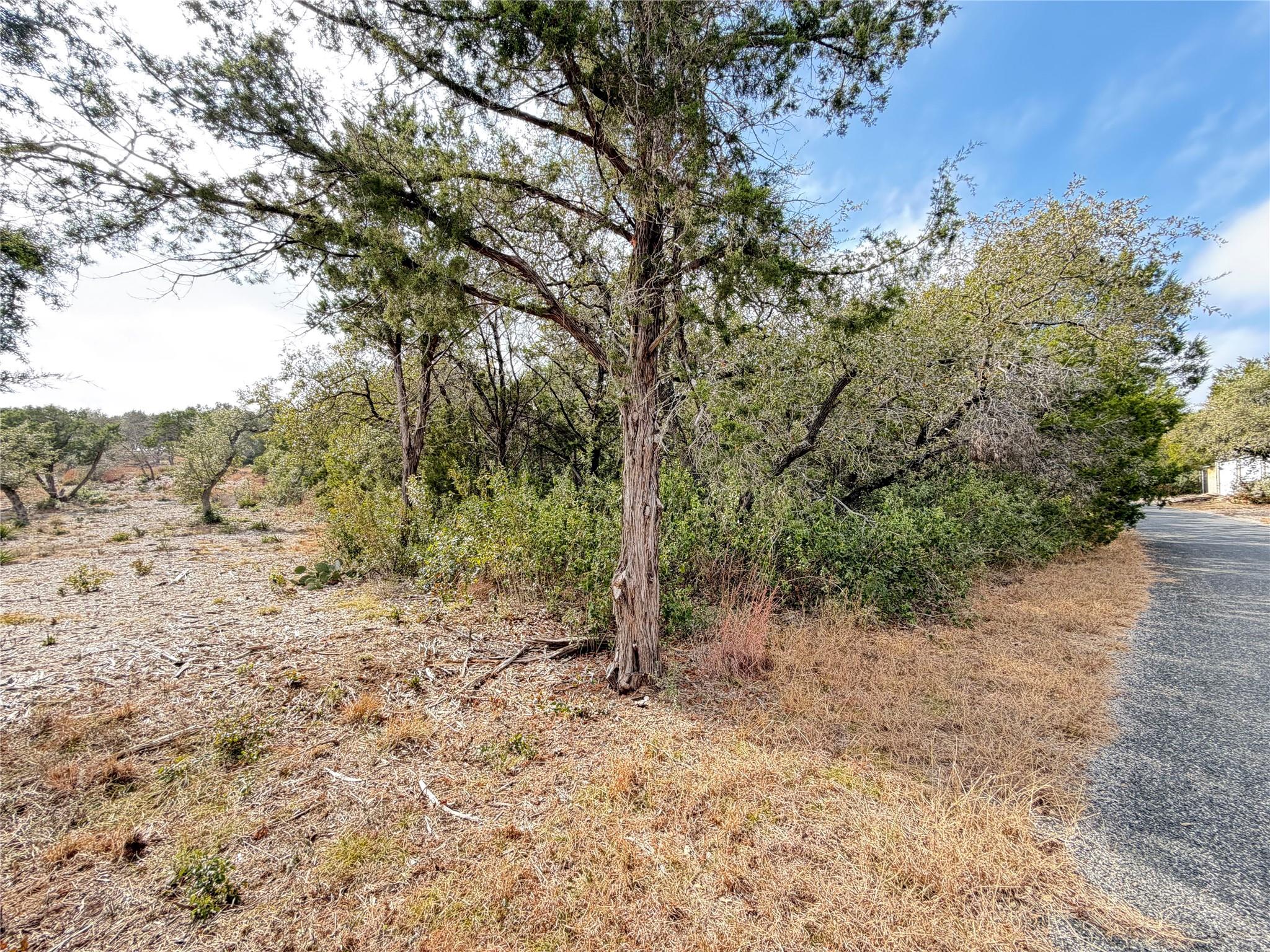 14701  old anderson mill Rd, Leander, TX 78641 — photo 1