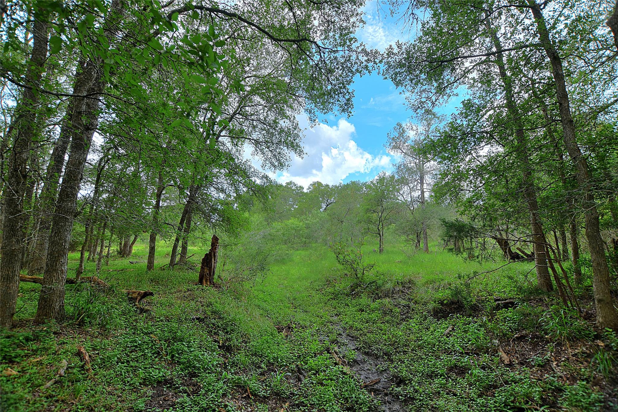 TBD Whitworth, Bastrop, TX 78602 — photo 1