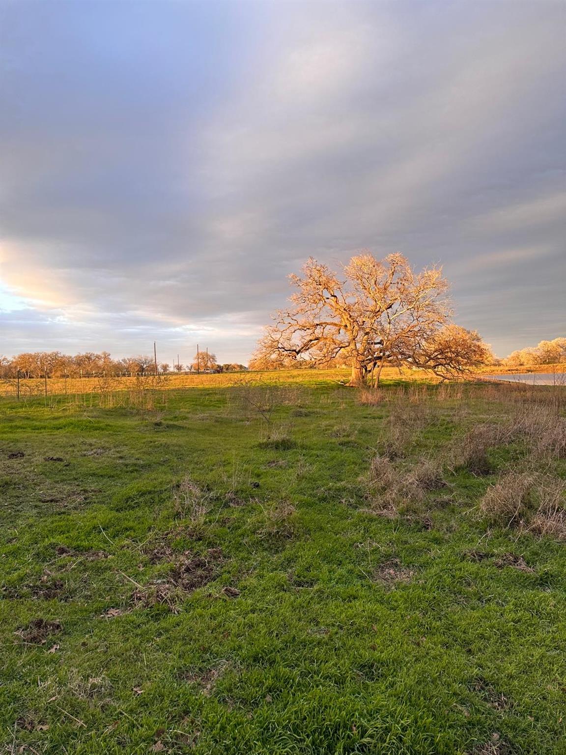 957 Johnson Farms, Harwood, TX 78632 — photo 1