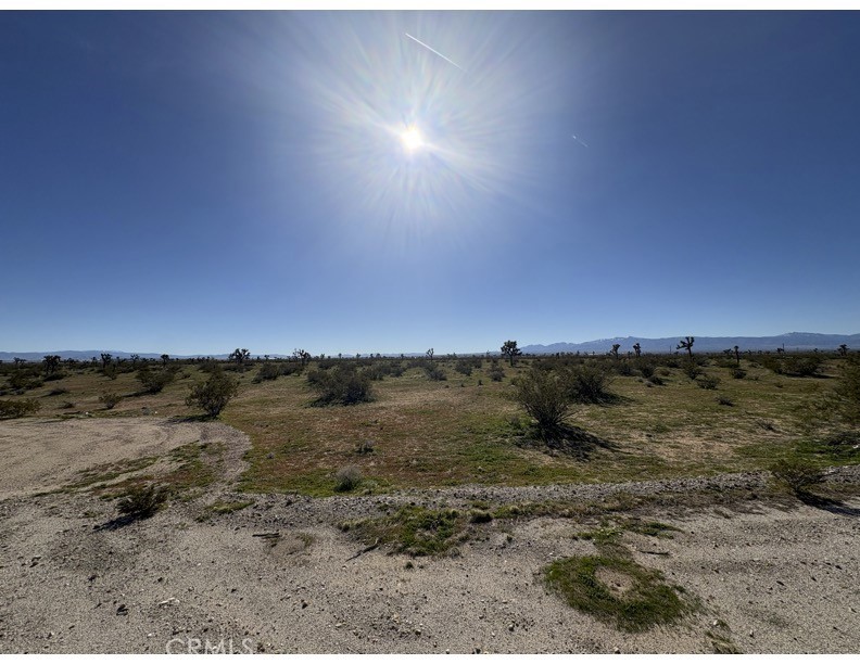 11513 Nichols, Adelanto, CA 92301 — photo 1