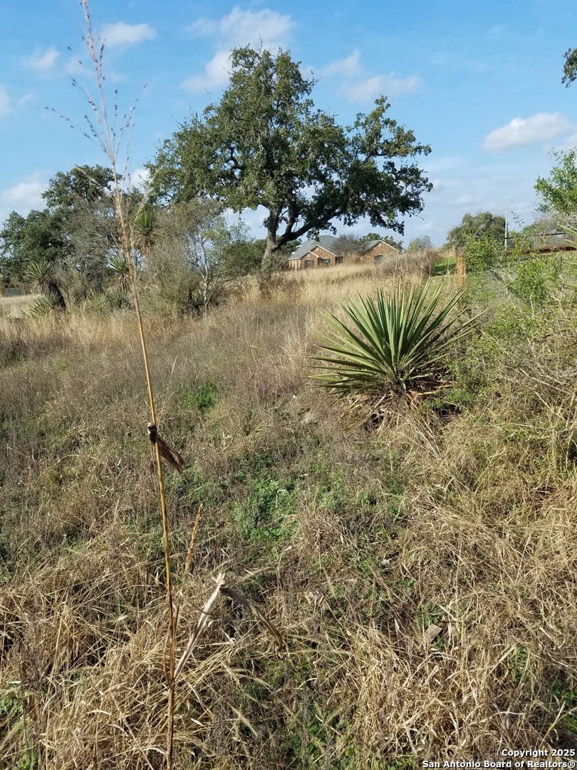 LOT 102 PR 3702 Pr 3702, San Antonio, TX 78253 — photo 1