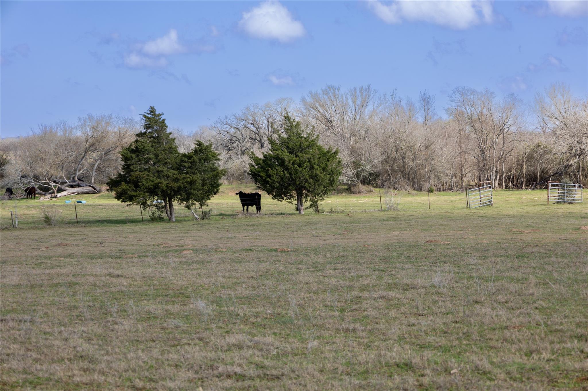 Lot 7 Mule Creek Rd, Harwood, TX 78629 — photo 1