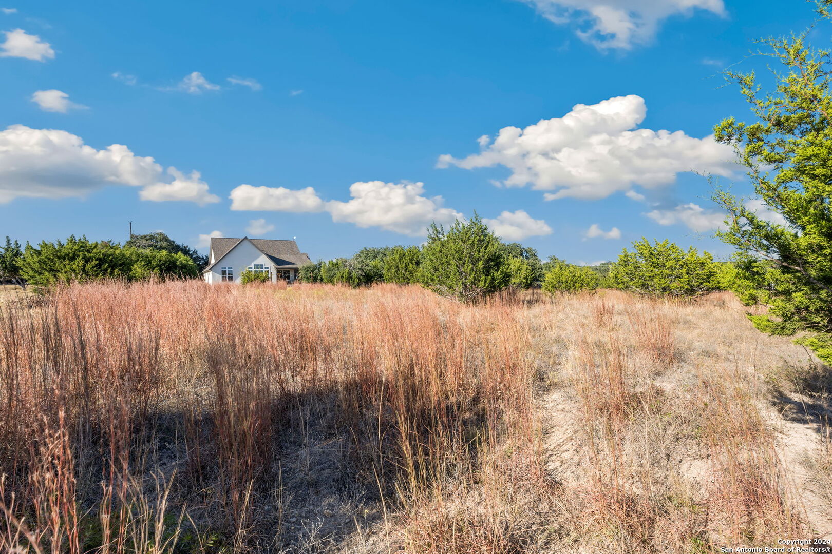 115 Jacob Dearing, Blanco, TX 78606 — photo 1