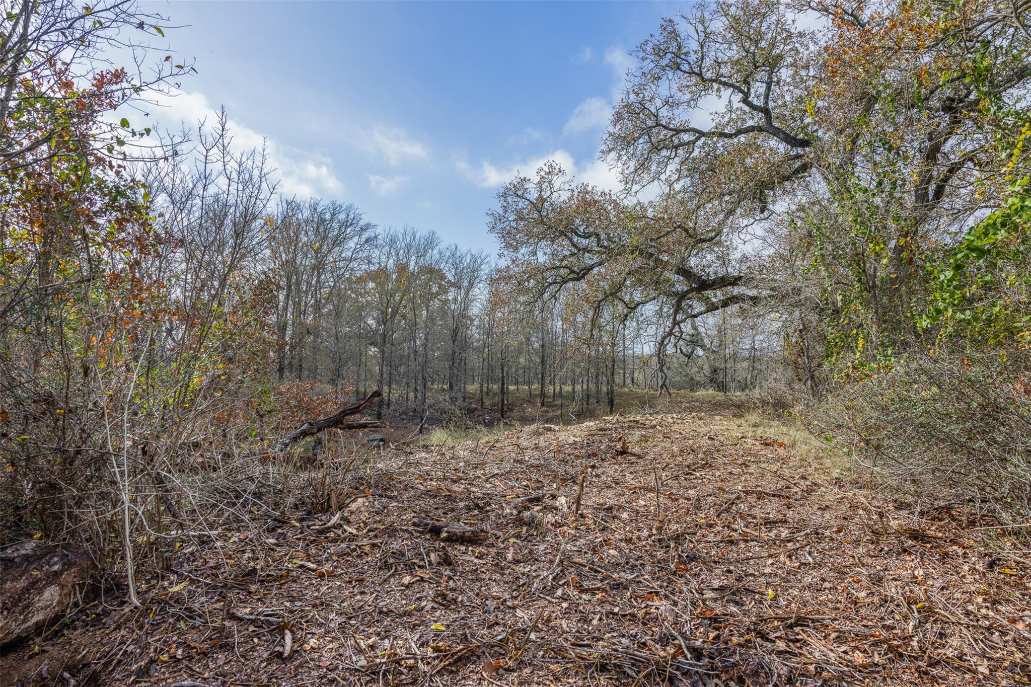 970  Bugtussle Ln, Luling, TX 78648 — photo 1