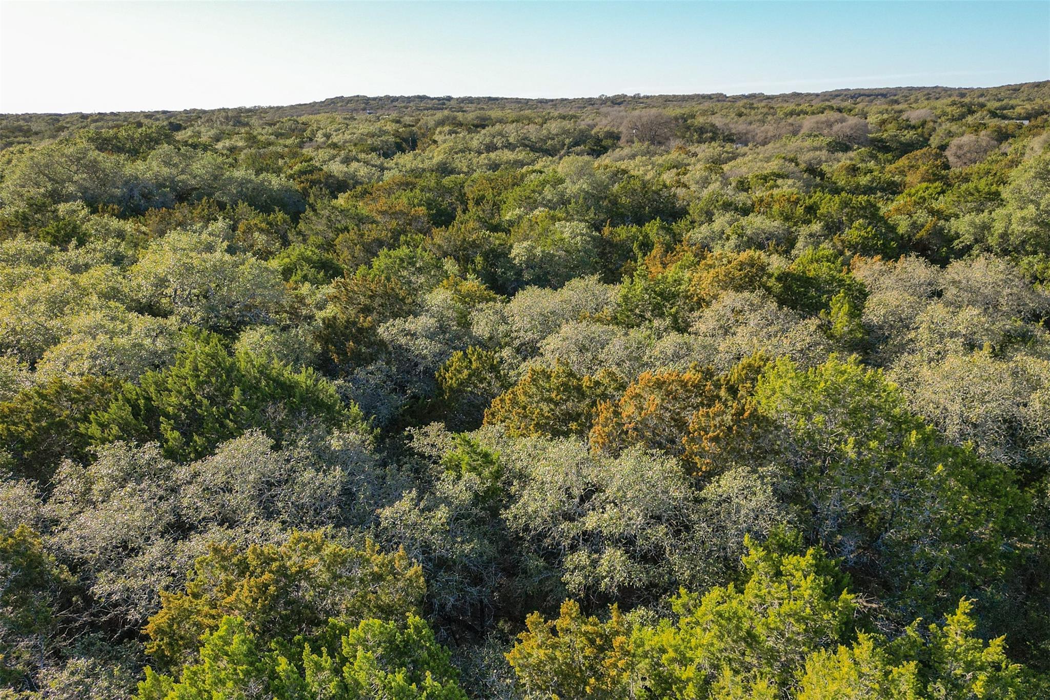 308  Ridge Oak Dr, Wimberley, TX 78676 — photo 1