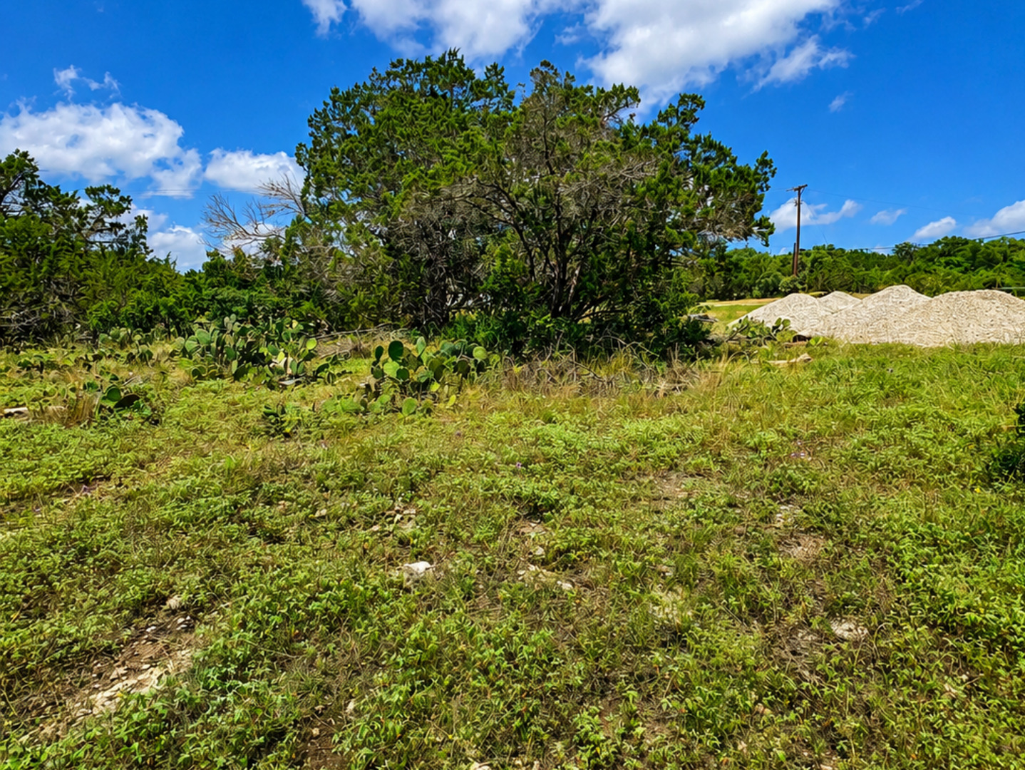 6718 Spring Branch Rd, ,  78070 — photo 1