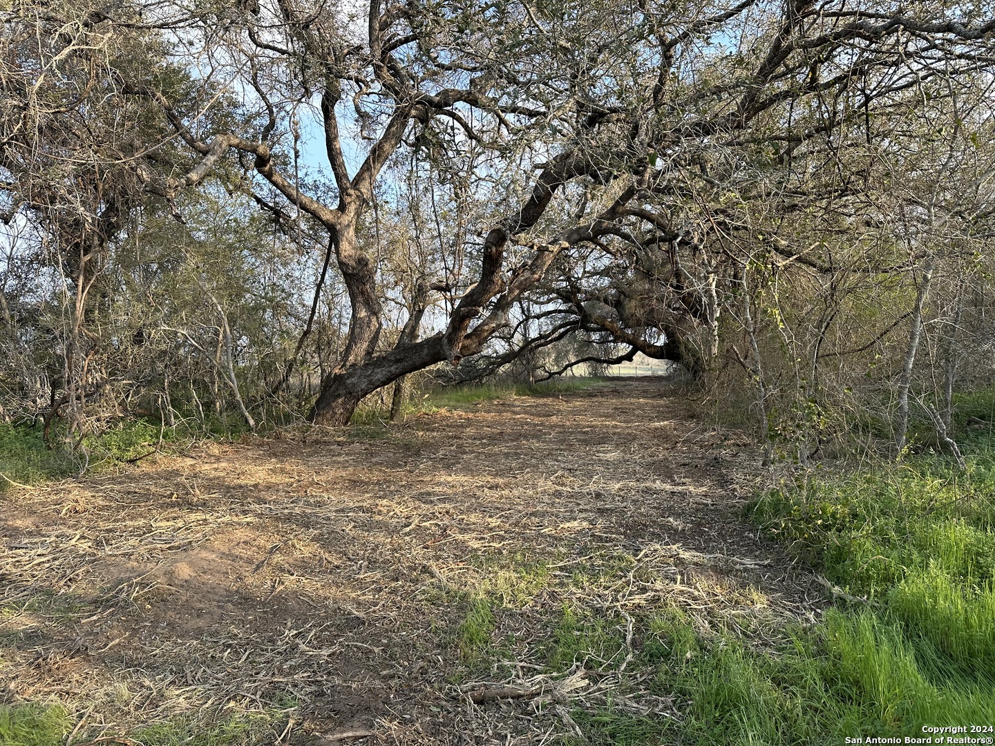 126 S TEJEDA LN, Floresville, TX 78114 — photo 1