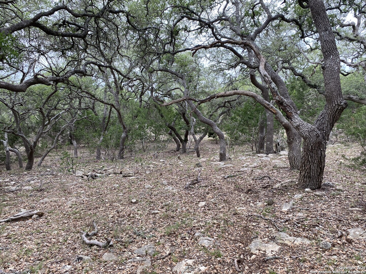 42 RUST LANE, Boerne, TX 78006 — photo 1