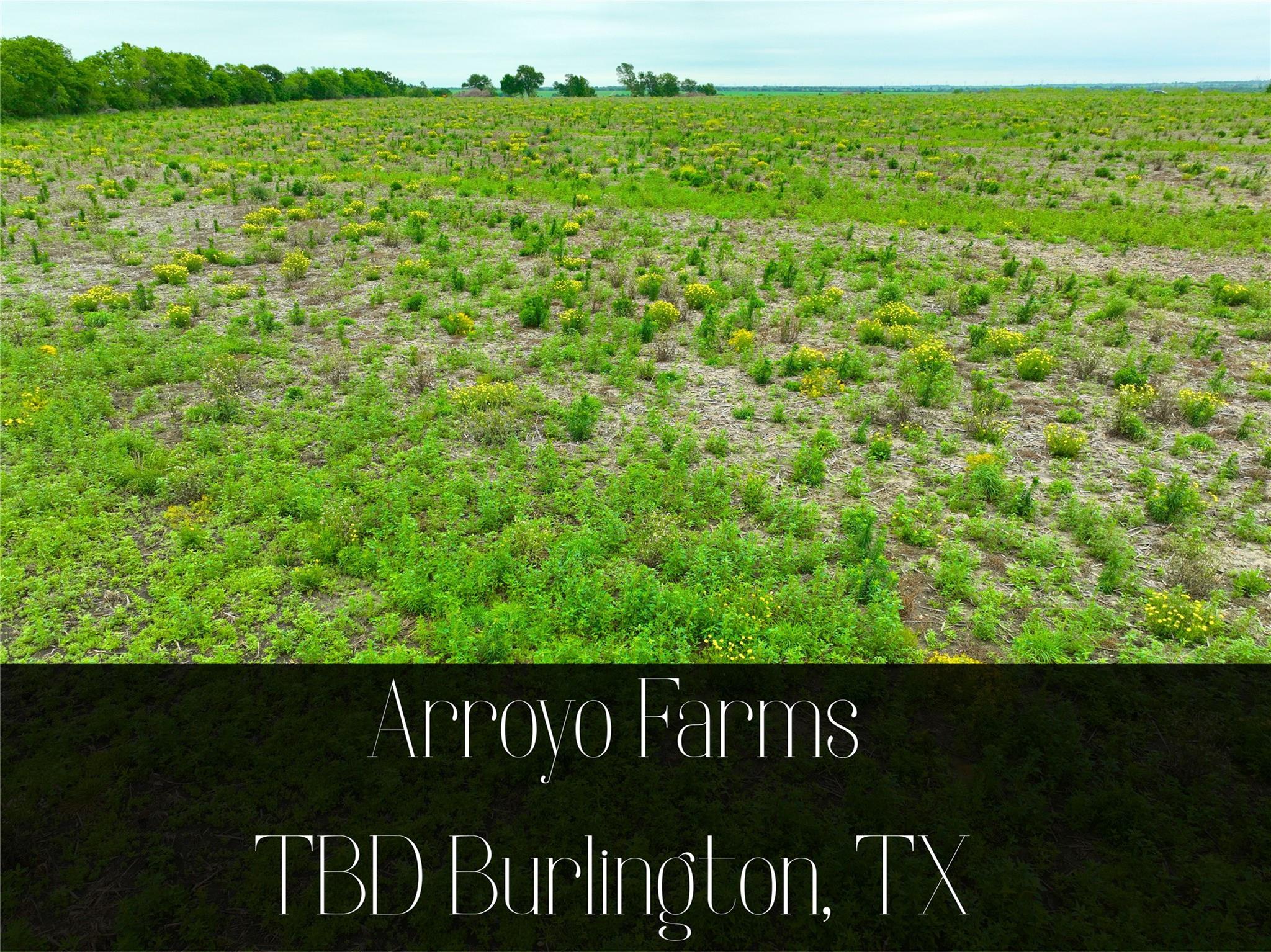 TBD Lot 1, Blk 2 132, Burlington, TX 76518 — photo 1