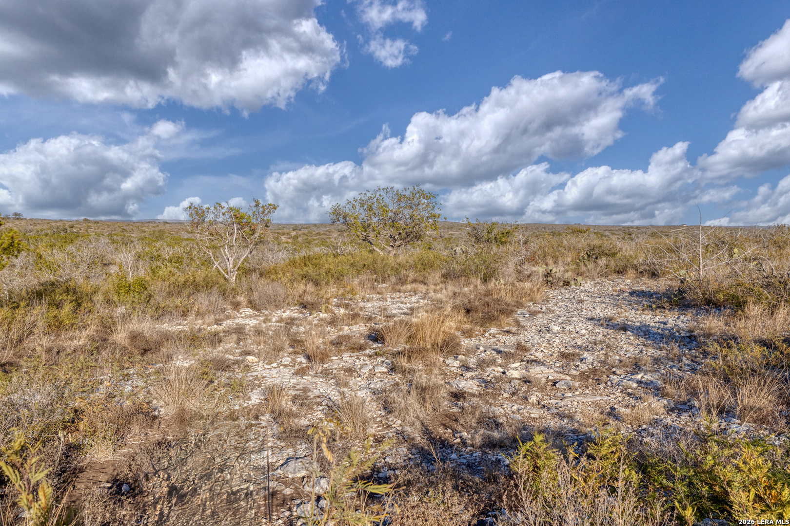 380 Doe, ,  78801 — photo 1
