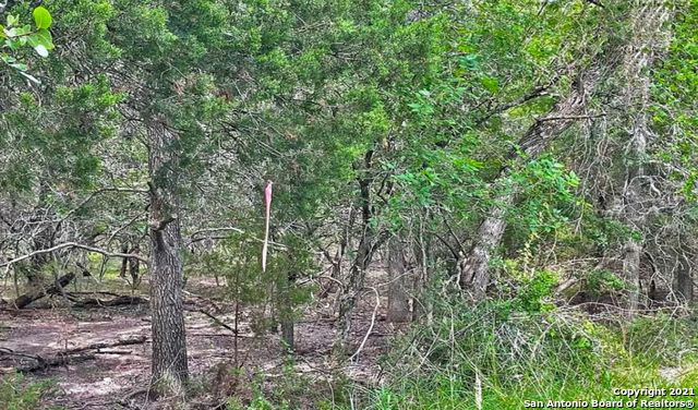 LOT 1&2 CIBOLO LN, ,  78108 — photo 1