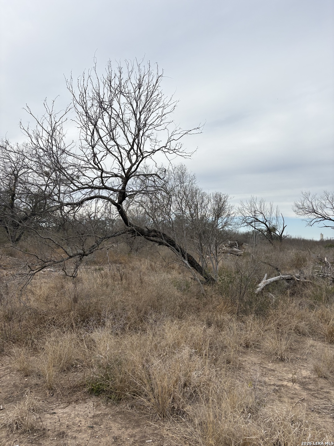 1490 us highway 90, ,  78801 — photo 1