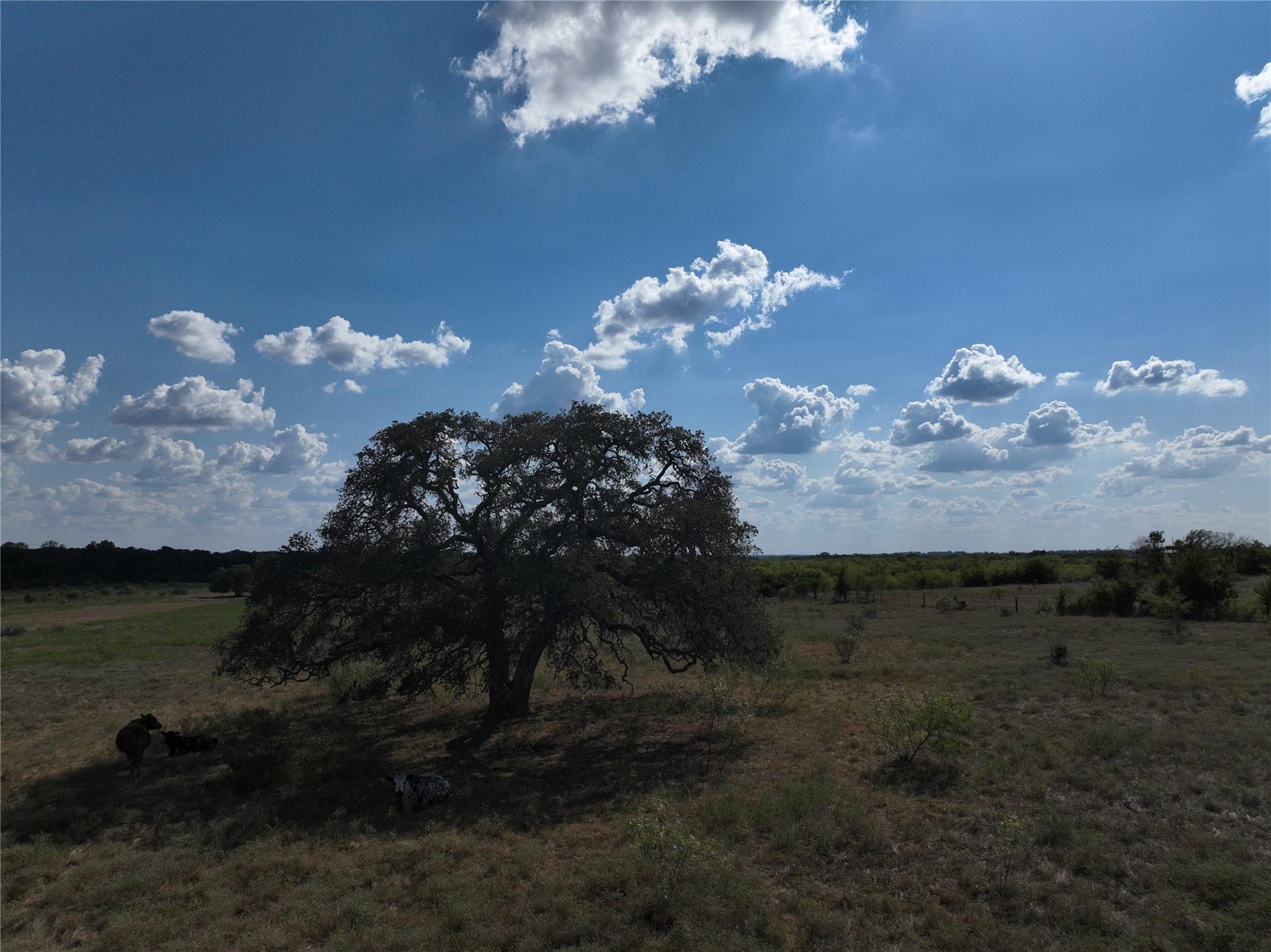 TBD Lot 5 Tenney Creek, Dale, TX 78616 — photo 1