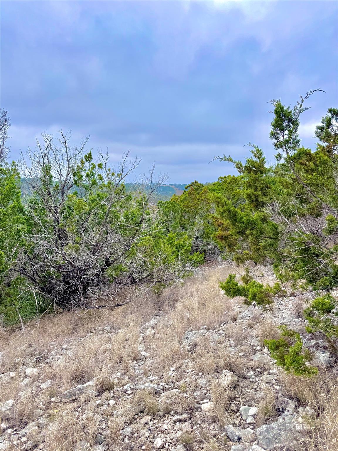 424  Armadillo Trail Dr E, Center Point, TX 78013 — photo 1