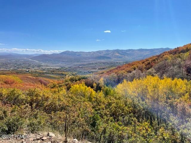 1369 Lower Cove Road, Park City, UT 84098 — photo 1