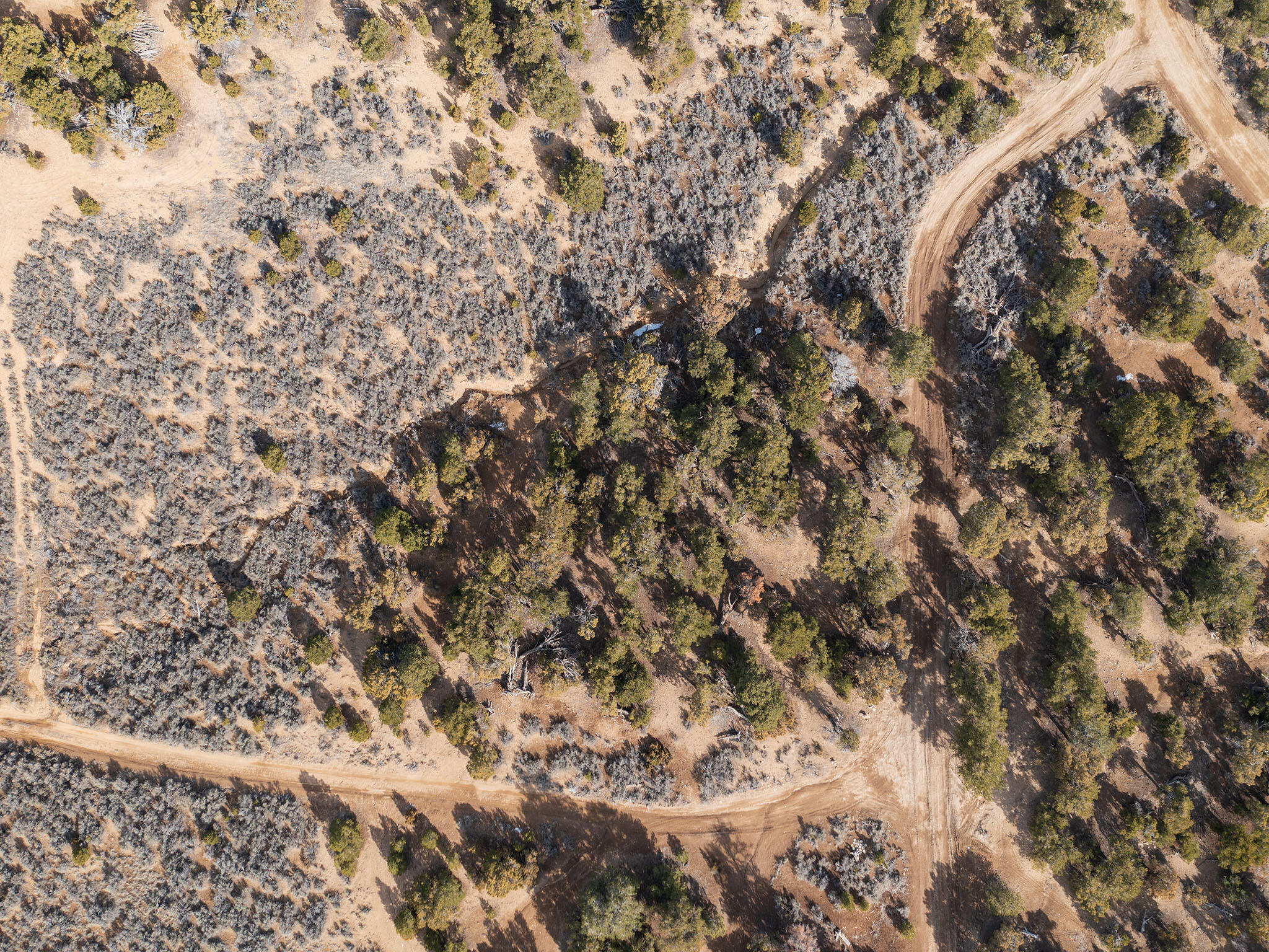 Pinion Ridge Lots 636/637, Duchesne, UT 84021 — photo 1