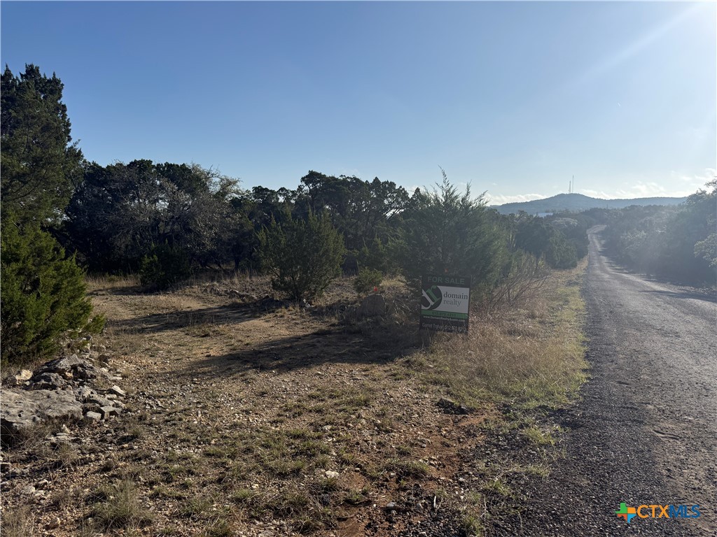 3600 Stagecoach Ranch Loop, Dripping Springs, TX 78620 — photo 1