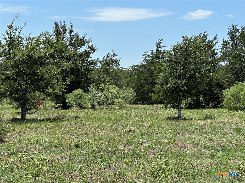 Tract 3D Hwy 95, Smithville, TX 78957 — photo 1
