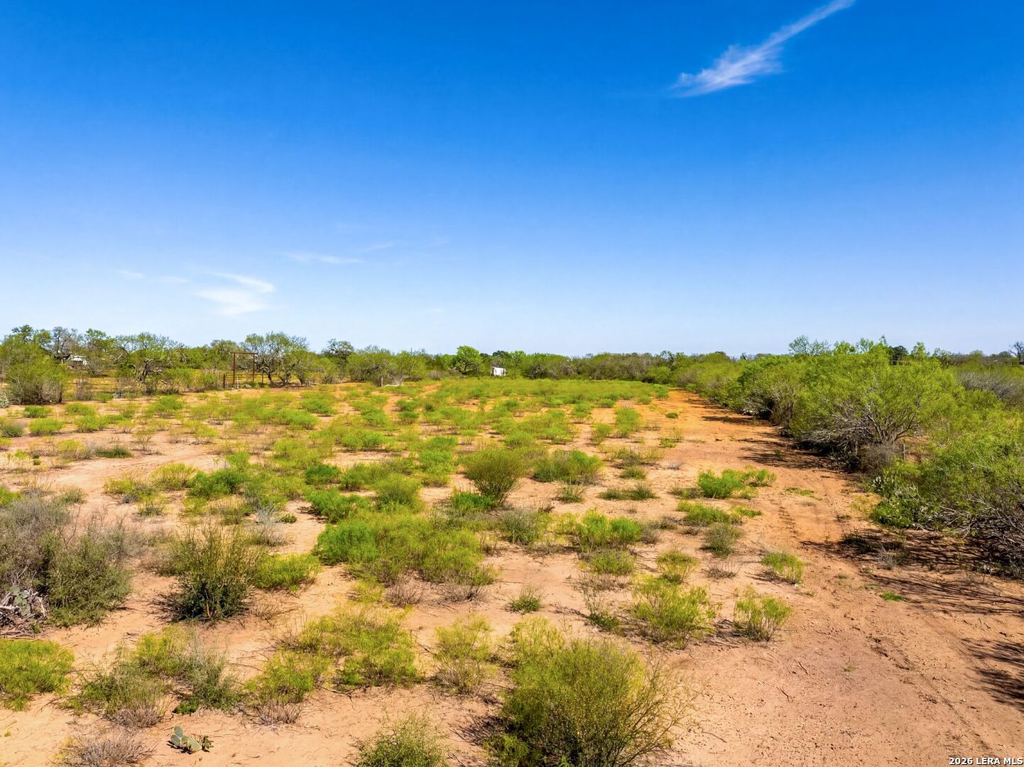 4246 Rakowitz Rd, Adkins, TX 78101 — photo 1