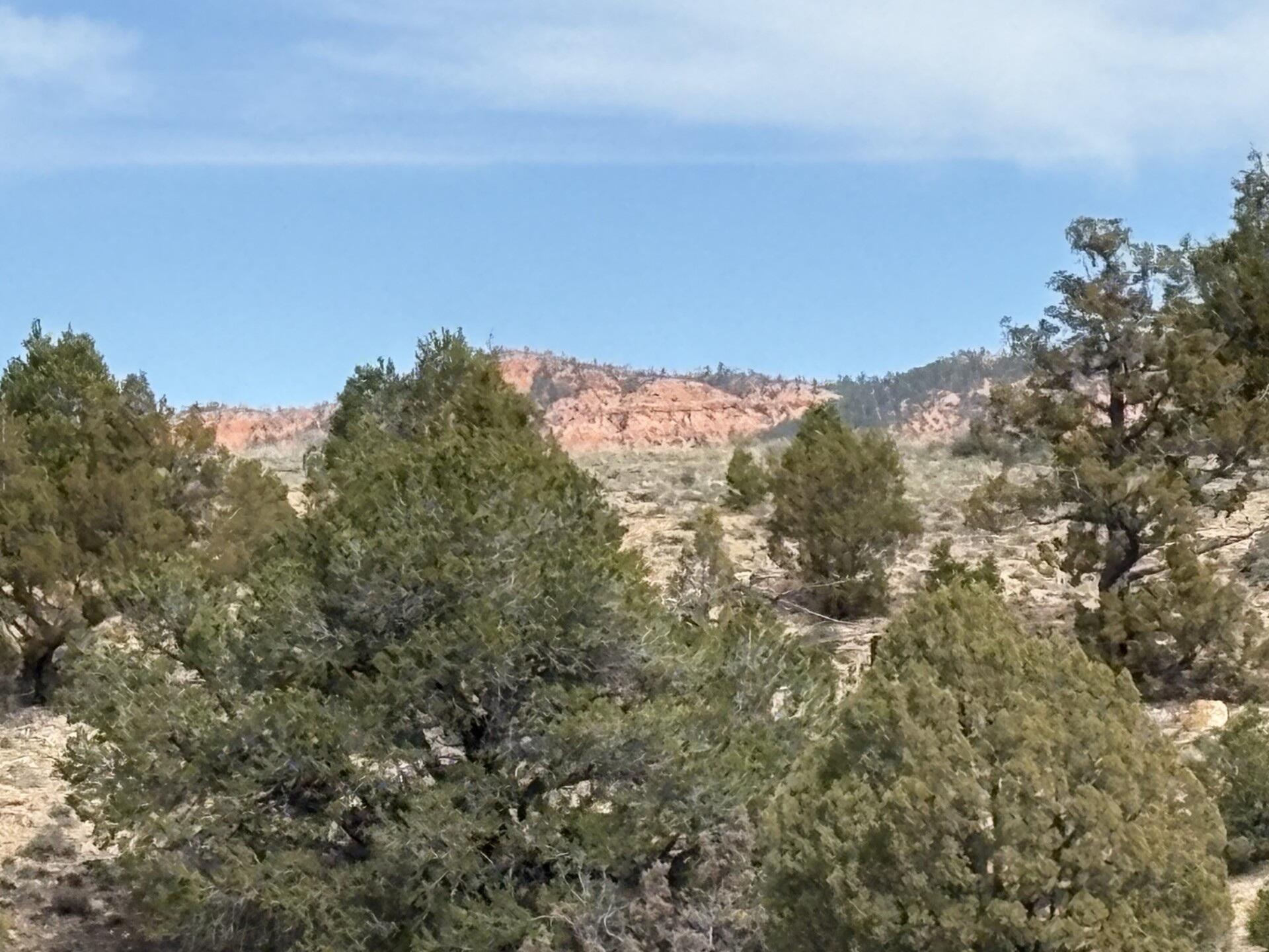 1795 E Eagle Ridge CIR, Hatch, UT 84735 — photo 1