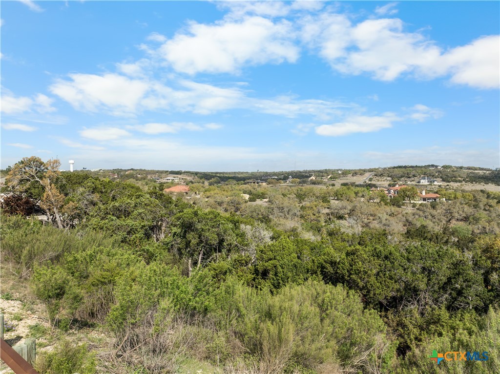 1479 Merlot, New Braunfels, TX 78132 — photo 1