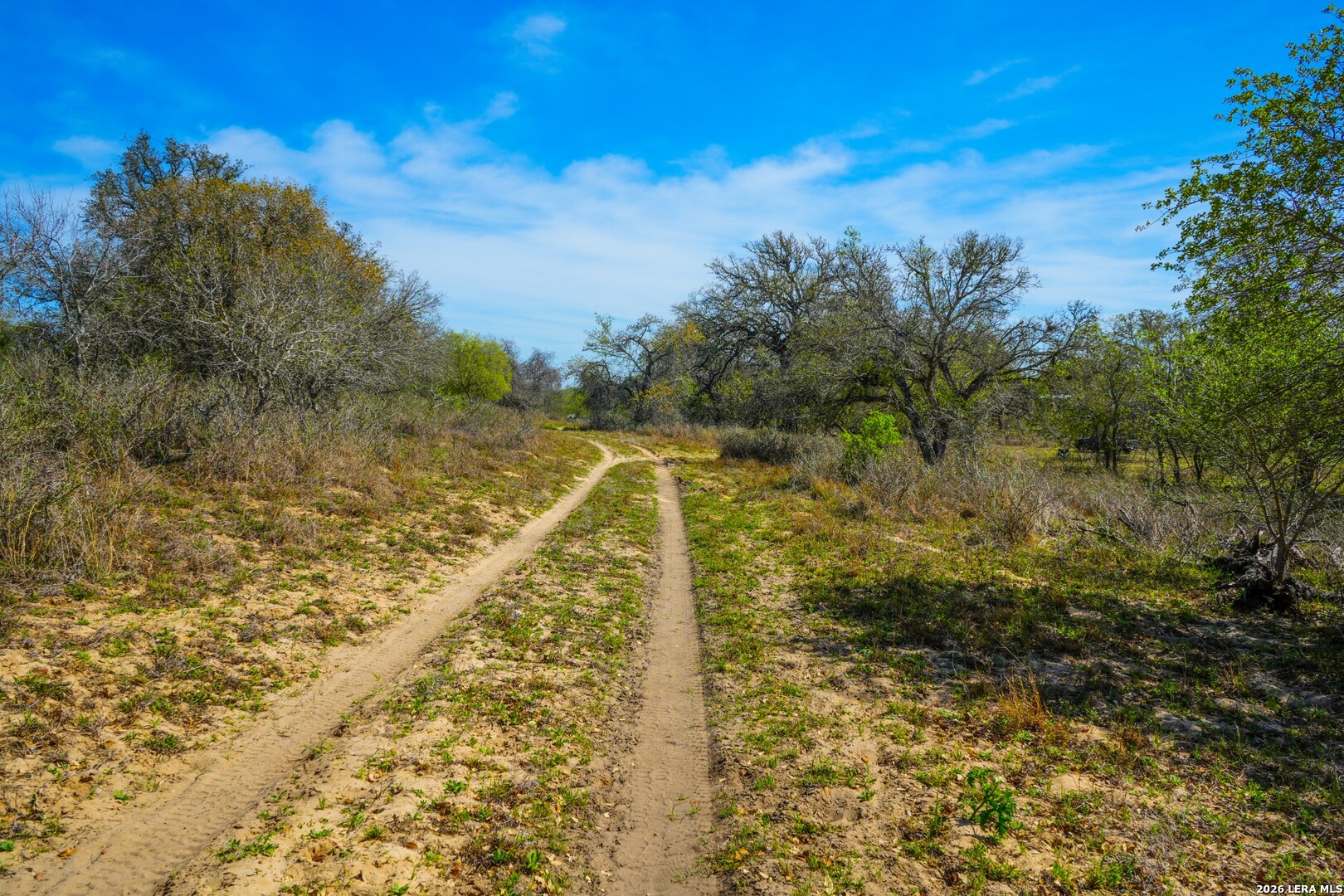 9521 Fm 1303, Floresville, TX 78114 — photo 1