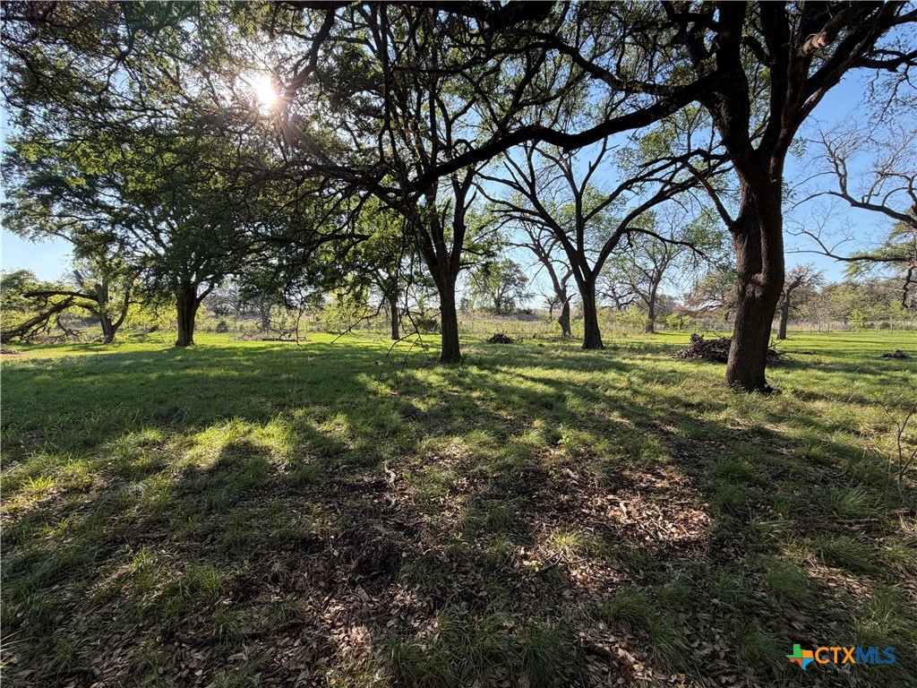 118 Guadalupe Drive, Oglesby, TX 76561 — photo 1