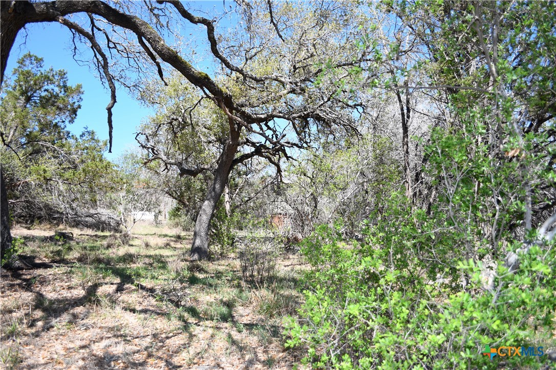 1361 Hidden Valley Drive, Spring Branch, TX 78070 — photo 1