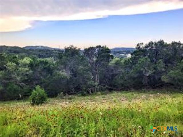 628 Angelica Vista, Canyon Lake, TX 78133 — photo 1