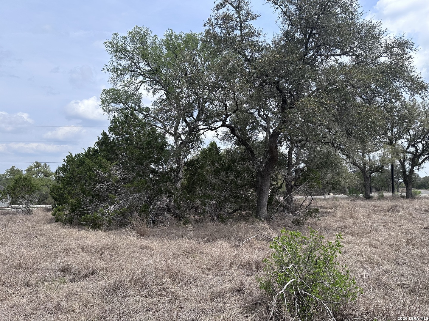 318 Serenity Pass, ,  78070 — photo 1