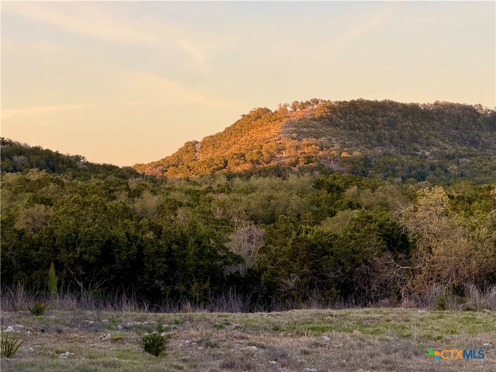 869 Flaman Road, Canyon Lake, TX 78133 — photo 1