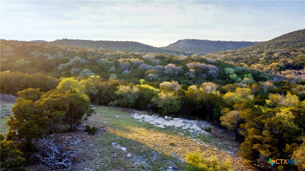 911 Flaman Road, Canyon Lake, TX 78133 — photo 1