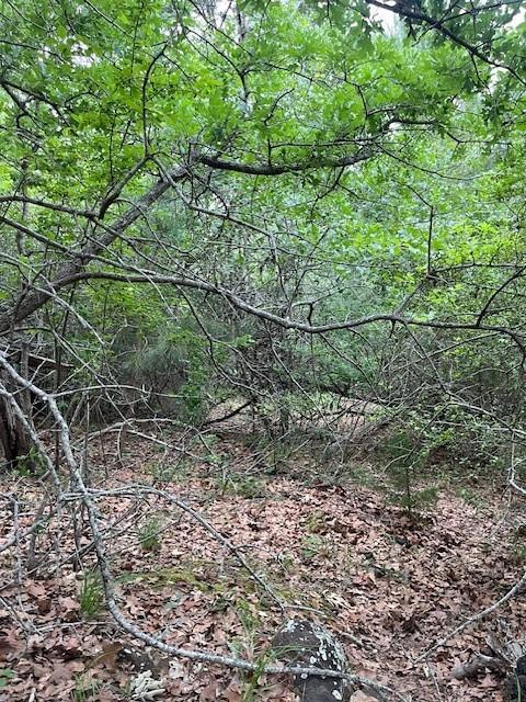 Lot 1603 Ulupau, Bastrop, TX 78602 — photo 1