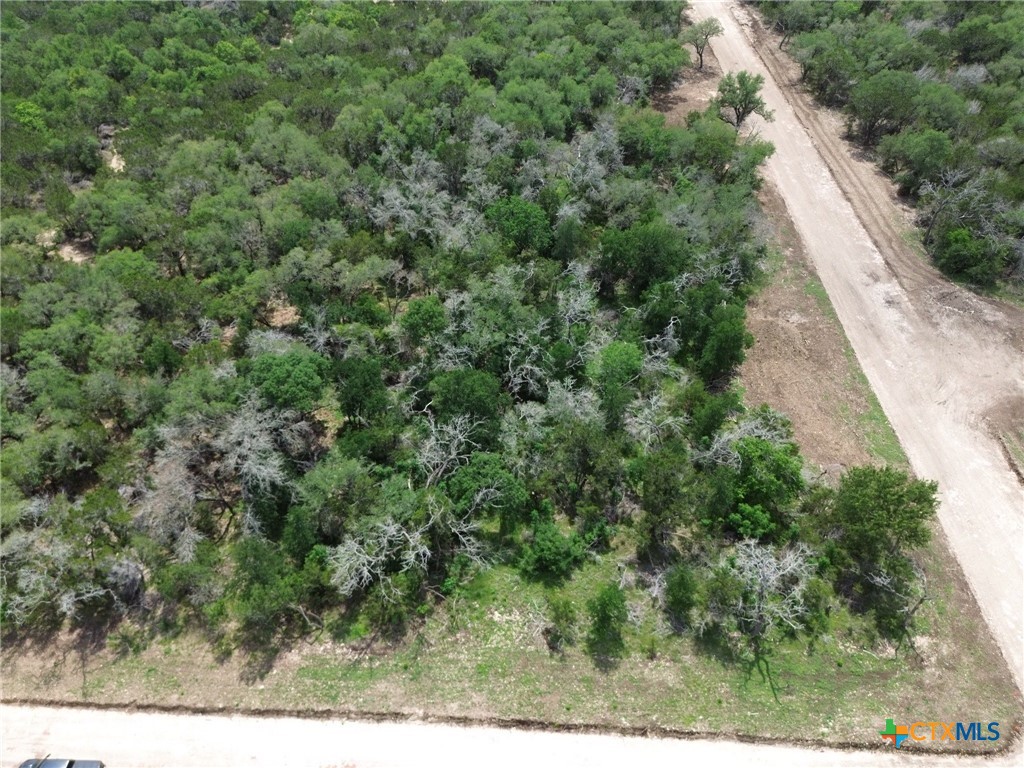 TBD Lot 22 Ironwood Ridge, Salado, TX 76571 — photo 1