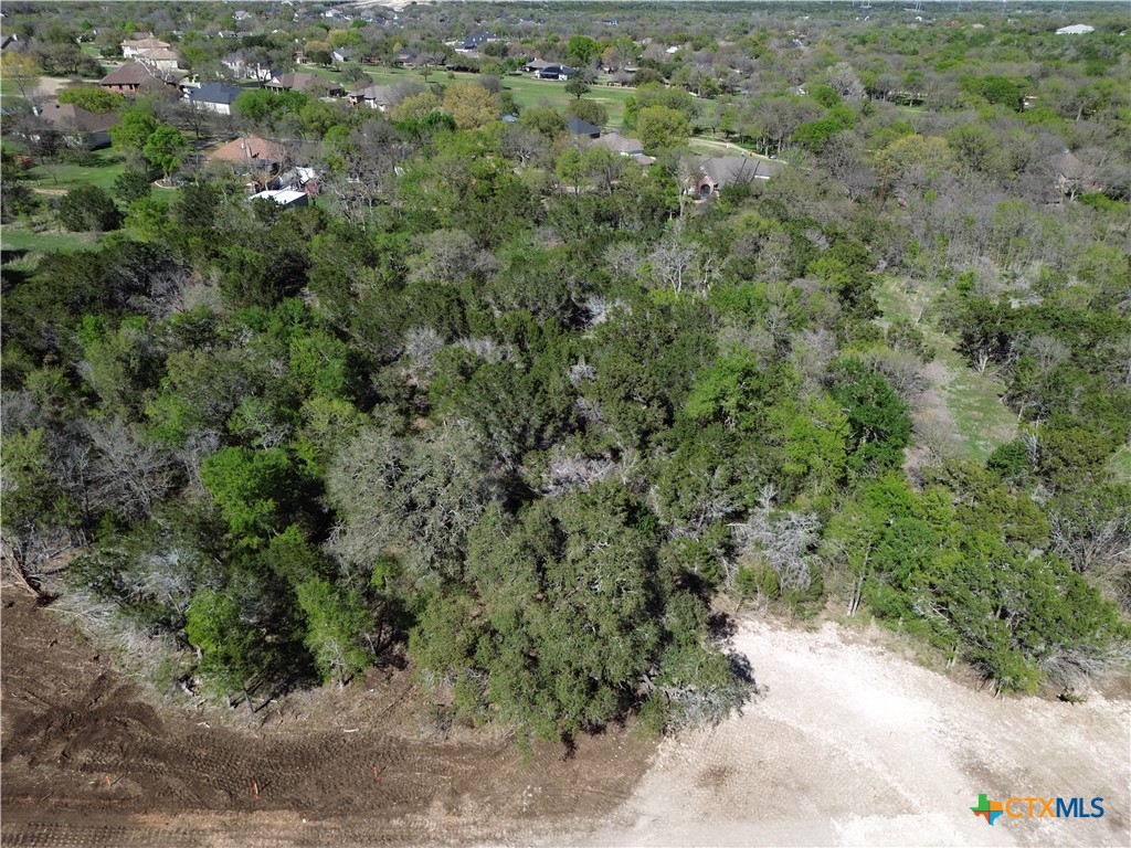 TBD Lot 29 Ironwood Ridge, Salado, TX 76571 — photo 1