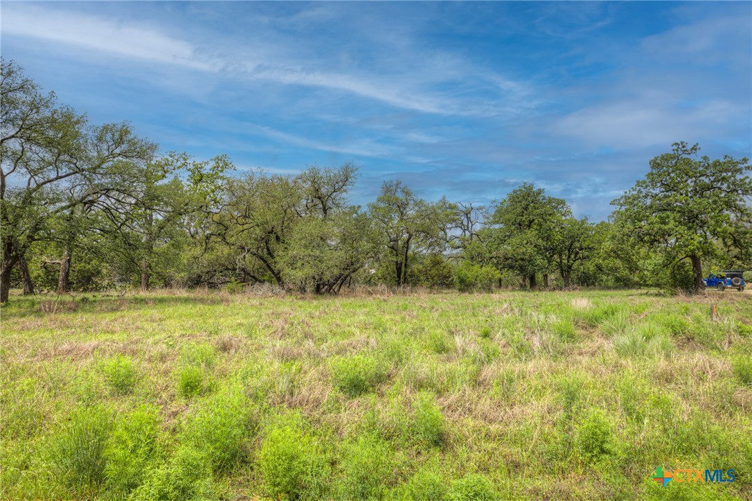 1251 Trailhead, New Braunfels, TX 78132 — photo 1