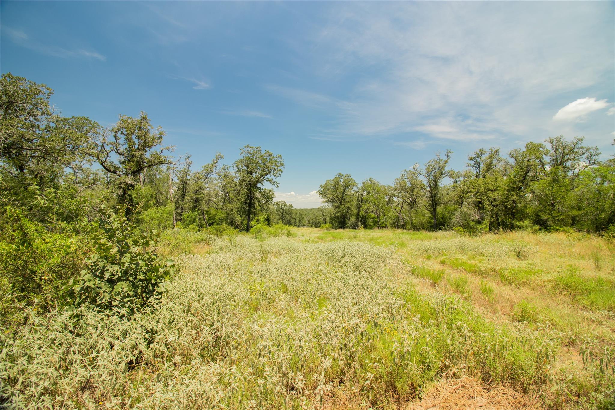 2564  Bluestem Crest Ln, Kingsbury, TX 78638 — photo 1