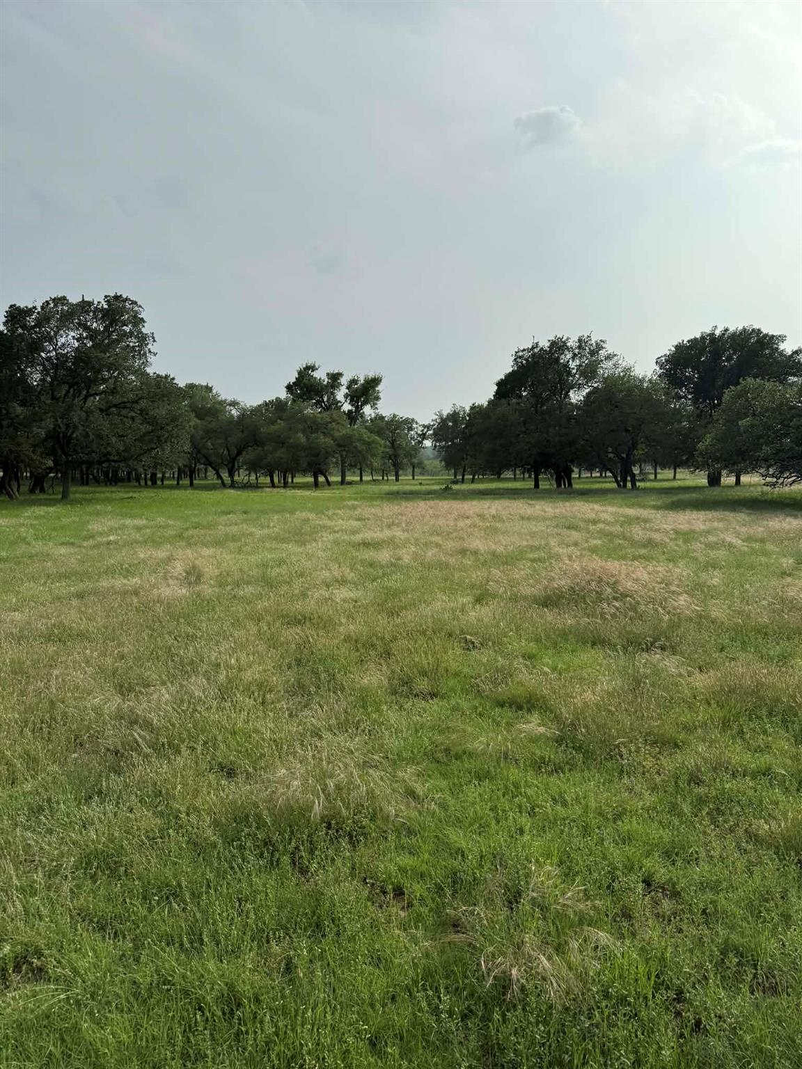 2251 County Road 234, Georgetown, TX 78633 — photo 1