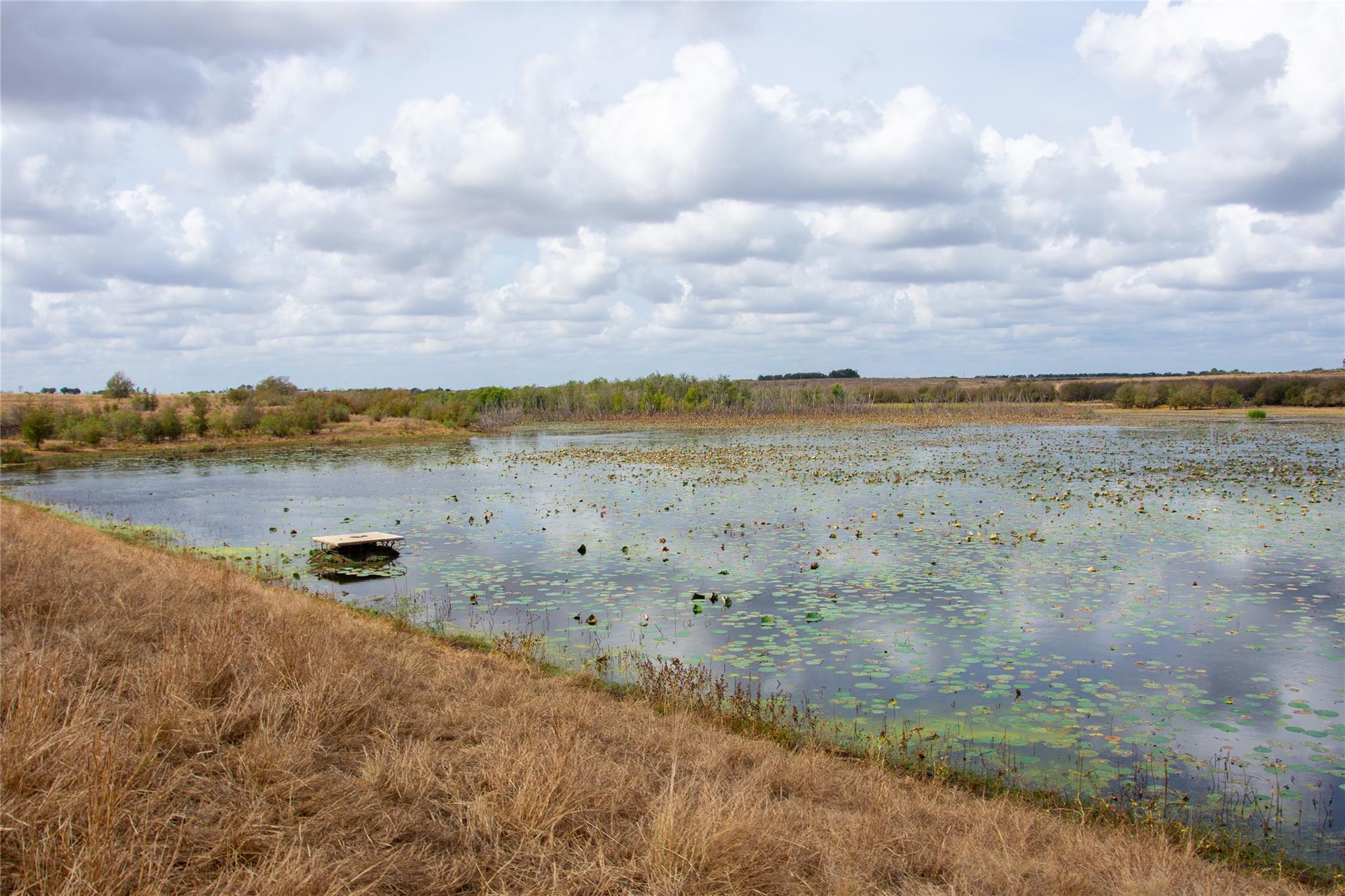 2689  County Road 419 Rd, Taylor, TX 76574 — photo 1