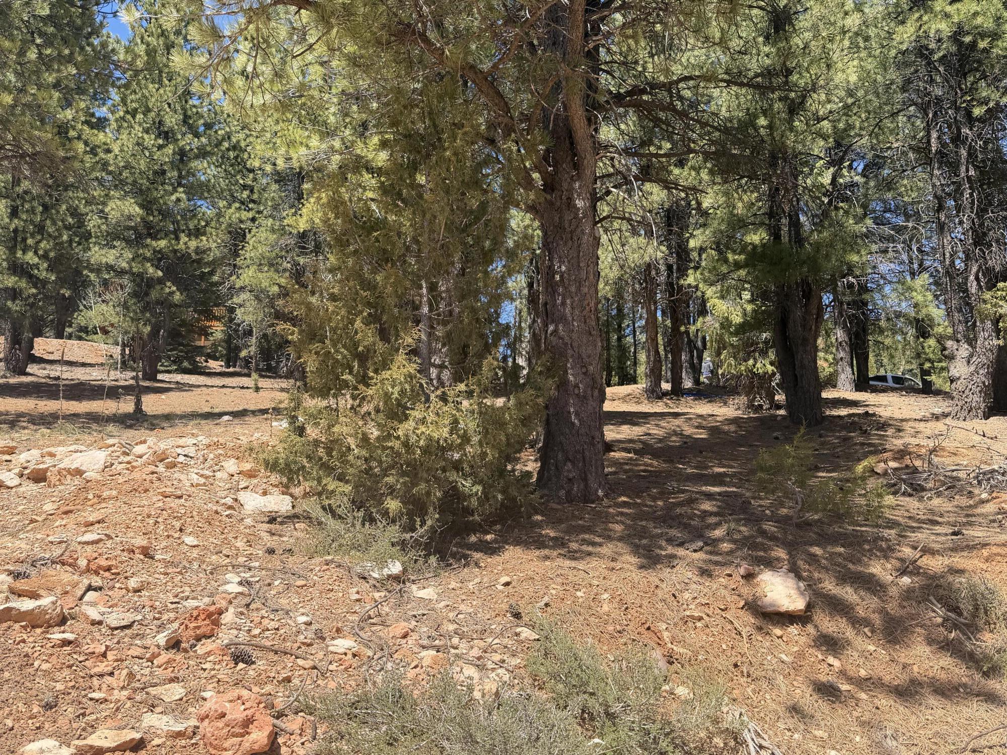 2375 Douglas Trail, Duck Creek Village, UT 84762 — photo 1