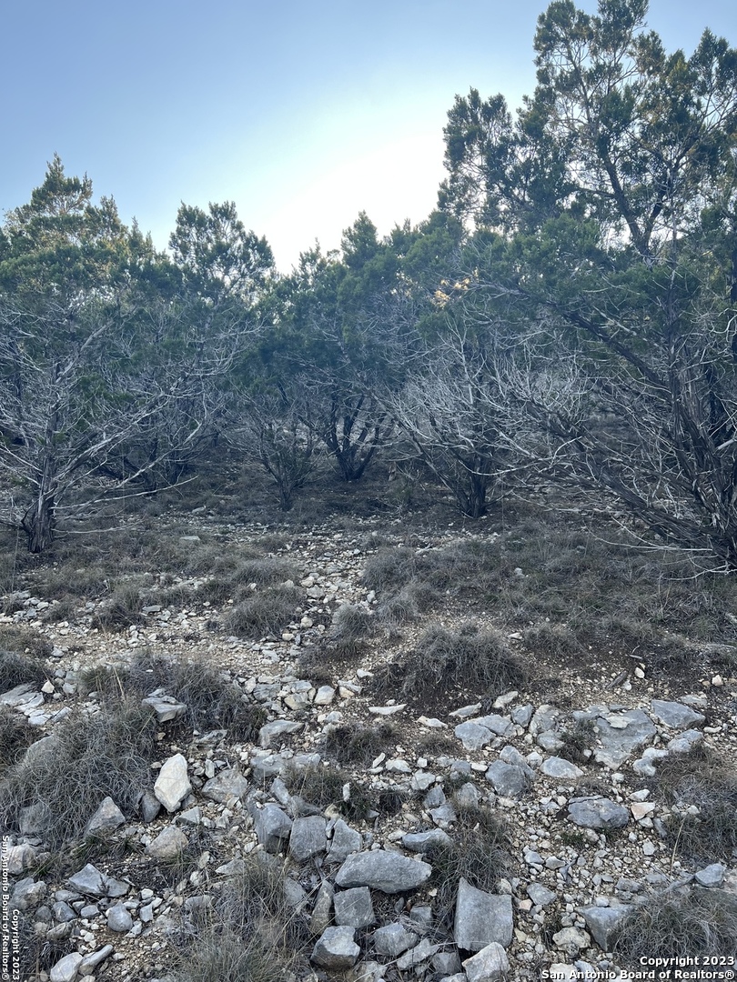 LOT 3 FOREST BREEZE DR, ,  78063 — photo 1